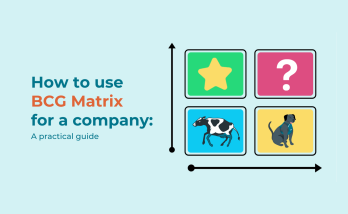 How to use BCG Matrix for a company: A practical guide