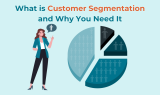 What is Customer Segmentation and Why You Need It?
